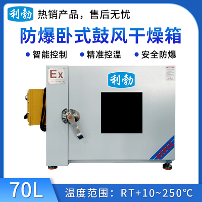 利勃防爆卧式鼓风干燥箱-70L