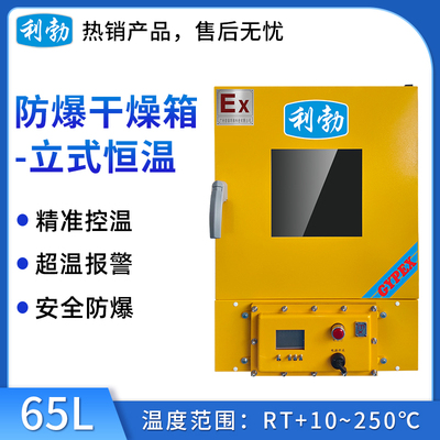 利勃防爆立式电热恒温干燥箱-65L