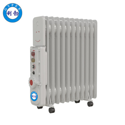 利勃电热油汀9片