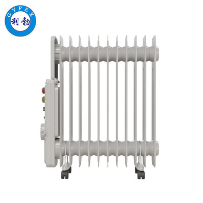 利勃电热油汀15片