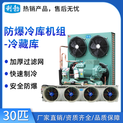利勃防爆冷库机组-冷藏库30p