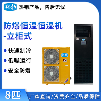 利勃防爆恒温恒湿机-立柜式8匹