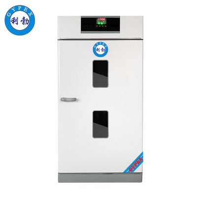 利勃立式鼓风干燥箱-LB-62GL