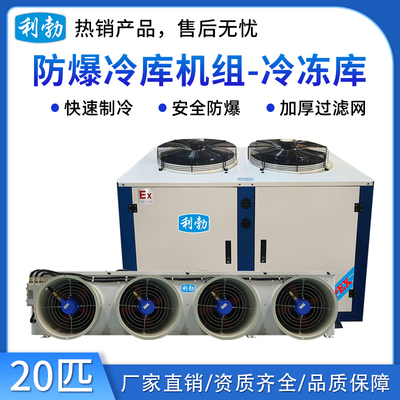 利勃防爆冷库机组-冷冻库20p
