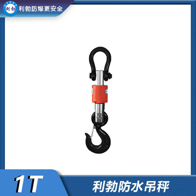 利勃防水吊秤-EXBZ-900/DF1T